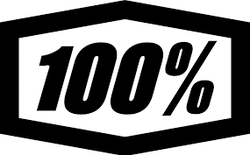 100_logo